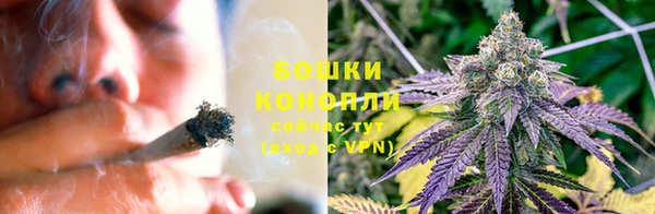 стафф Белокуриха