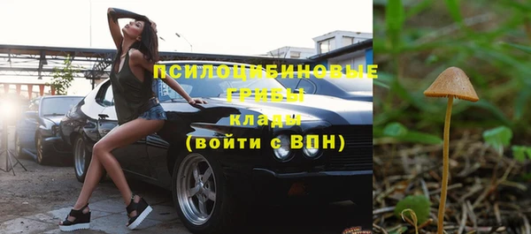 стафф Белокуриха